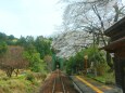 樽見鉄道車窓より