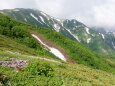 雷鳥坂にて