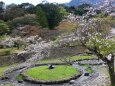 養老公園