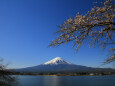 爽やかな風景