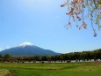 山中湖花の都公園