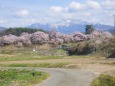 春の農道／南アルプス仙丈ヶ岳