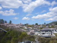 春の高遠城址公園南口