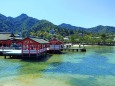 春の厳島神社