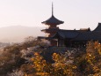 清水寺から見る風景