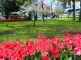 広島平和記念公園