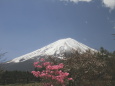 創造の森の富士山