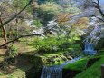 春の養老公園