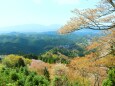 春の吉野