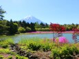 春の本栖湖