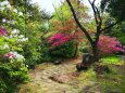 春の熊野古道