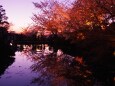 春の夜の清水寺