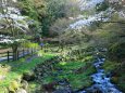 春の養老公園