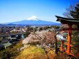 新倉山浅間神社