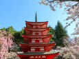 春の新倉山浅間神社