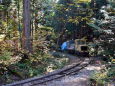 森林鉄道の旧車両