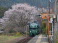 ゆふいんの森号と桜