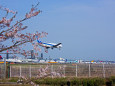 成田空港