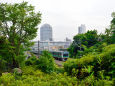 埼京線沿線風景