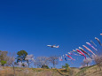 成田空港