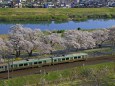 桜並木を行く(東北本線)