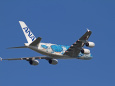 A380 JA381A