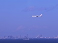 羽田沖を飛ぶ旅客機