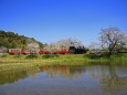 春の小湊鉄道