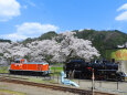 C12とDD16 若桜駅の桜の前で