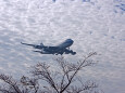 成田空港