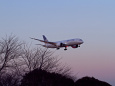 成田空港