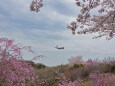 成田空港