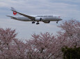 成田空港