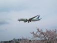 成田空港