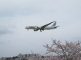 成田空港