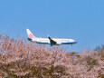 成田空港