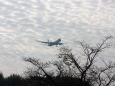 成田空港