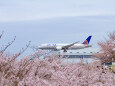 成田空港