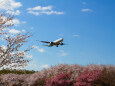 成田空港