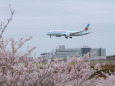 成田空港