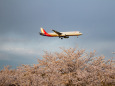 成田空港