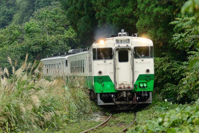 ススキとキハ40系気動車