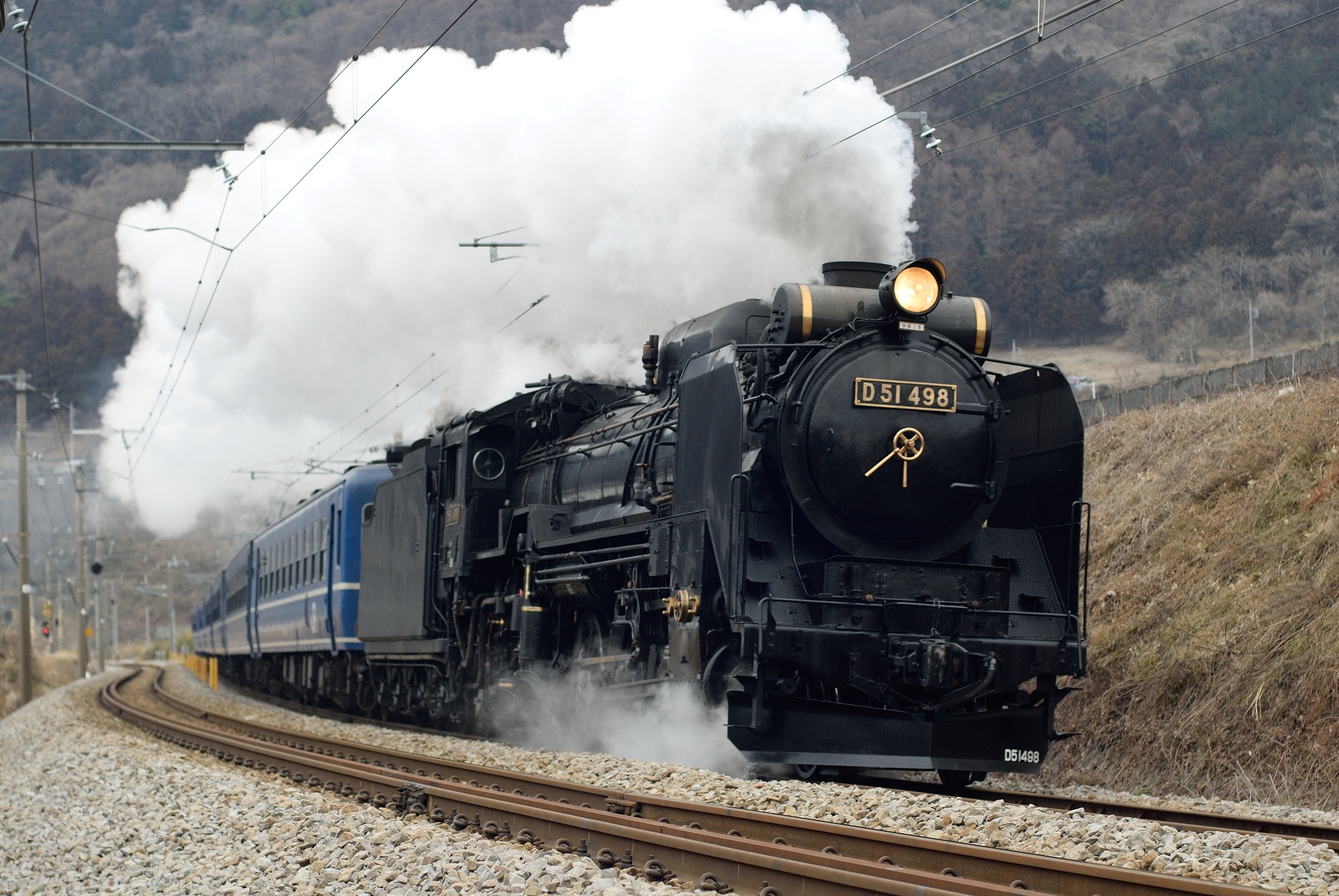 D51 498 SLみなかみ号