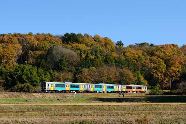 紅葉の水郡線を行くキハE130系