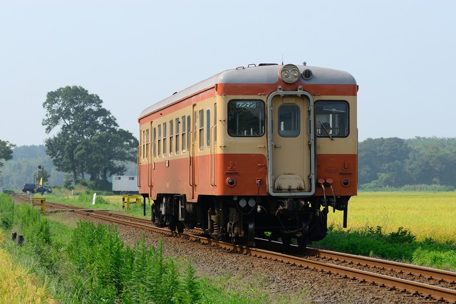 長閑な田園風景を行く国鉄カラー