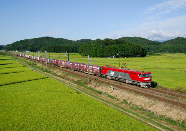 田圃の中を行くEH500貨物列車
