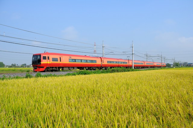 253系 特急日光1号