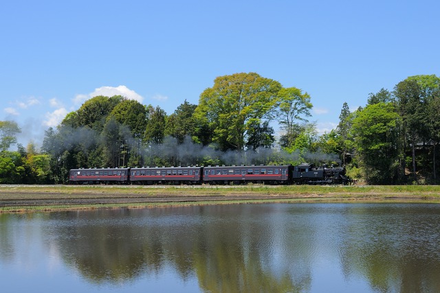 新緑の真岡鐵道SL C12 66