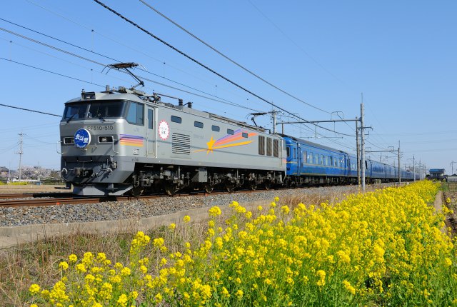 菜の花と北斗星 EF510-510