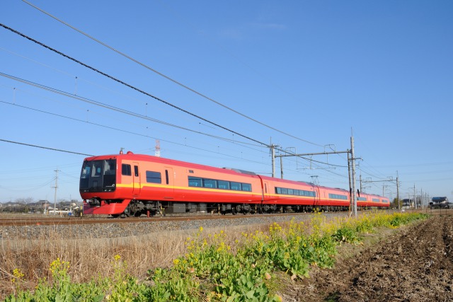 253系1000番台 特急日光1号